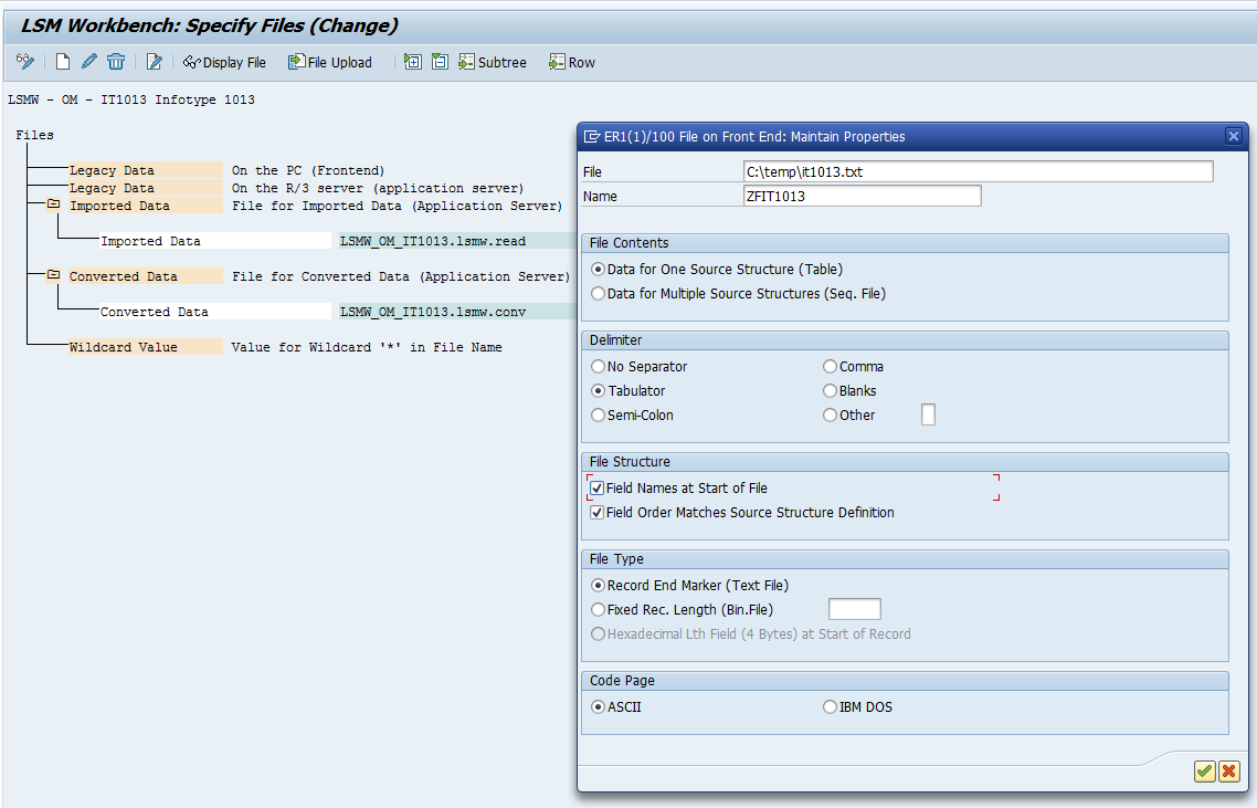  SAP LSMW Especificar archivo